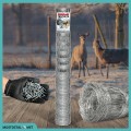 180-24-15m-as-lama-allegro.jpg