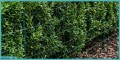 c0a93172423da474deae17db409f.jpg